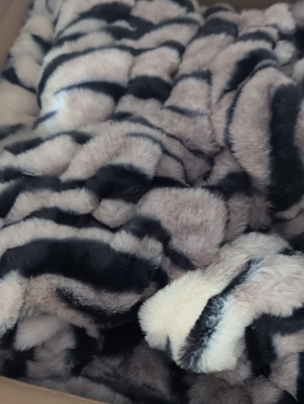 Comfrt Ash Tiger Dreamer Blanket 60x80